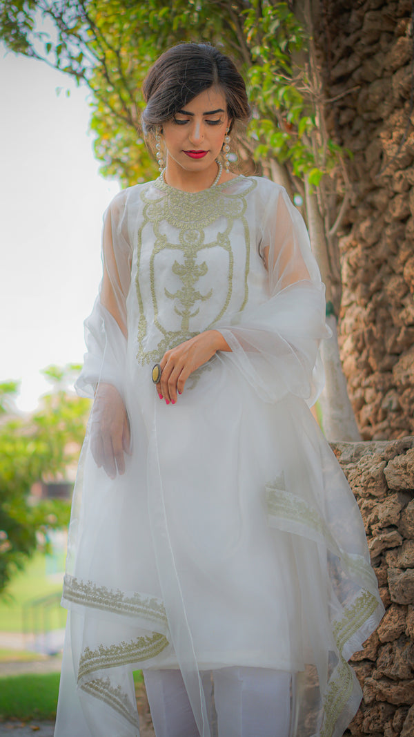 Subh-e-Nau - Embroidered Organza Suit